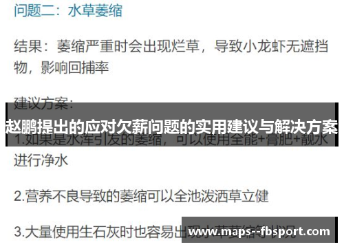 赵鹏提出的应对欠薪问题的实用建议与解决方案 赵鹏提出的应对欠薪问题的实用建议与解决方案