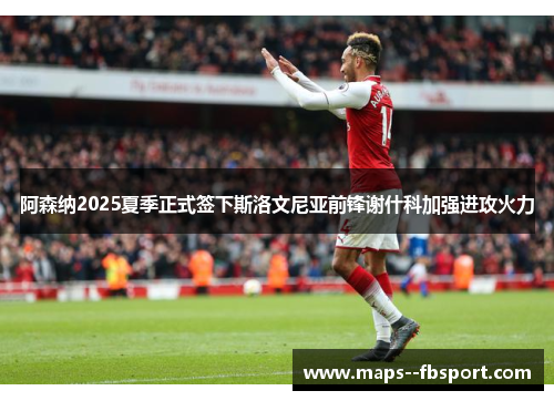 阿森纳2025夏季正式签下斯洛文尼亚前锋谢什科加强进攻火力