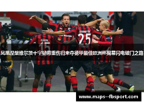 凤凰涅槃维尔茨十字韧带重伤归来夺德甲最佳欧洲杯揭幕闪电破门之路